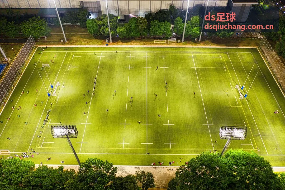 ds足球球队状态对比工具